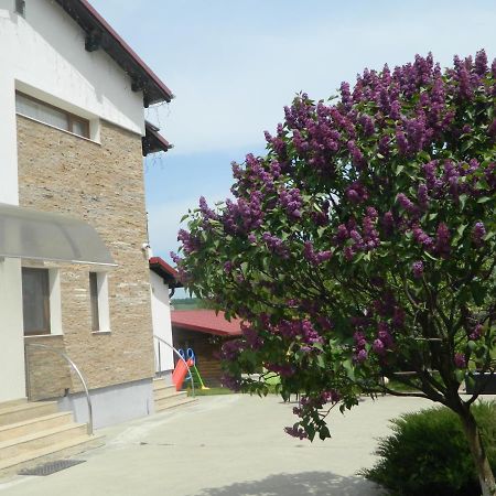 Mirana-Marginimea Sibiului Hotel Kereszténysziget Kültér fotó