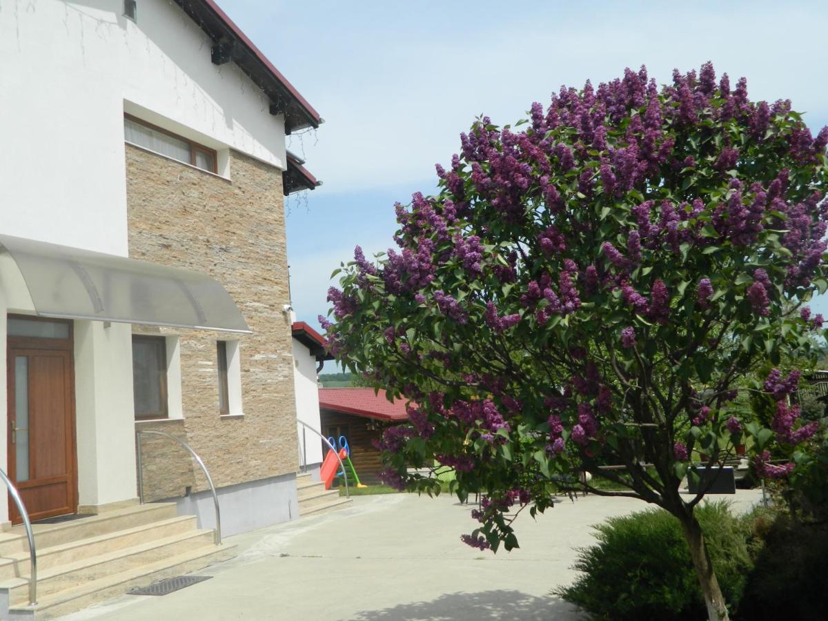 Mirana-Marginimea Sibiului Hotel Kereszténysziget Kültér fotó